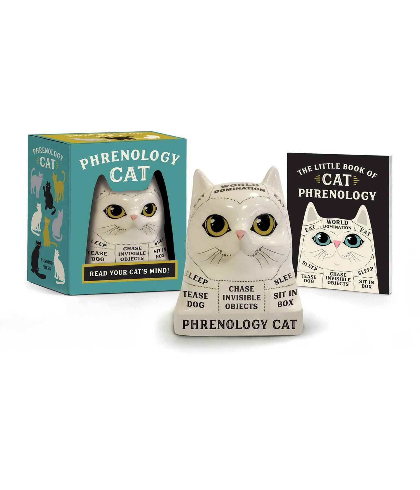 Phrenology Cat: Read Your Cat's Mind!