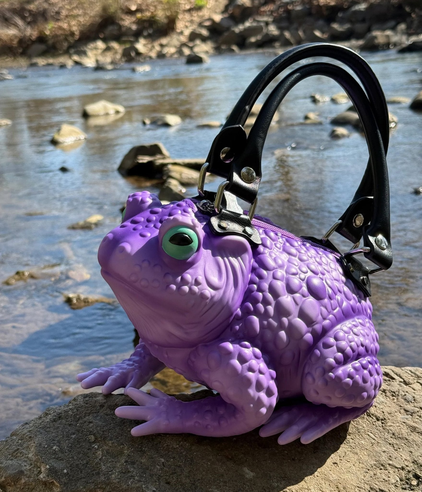 Windy Willow Glow in the Dark Purple Green Eye Toad Bag – Unique