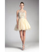 Cinderella Divine  Champagne Beaded Lace Ballerina Homecoming Dress