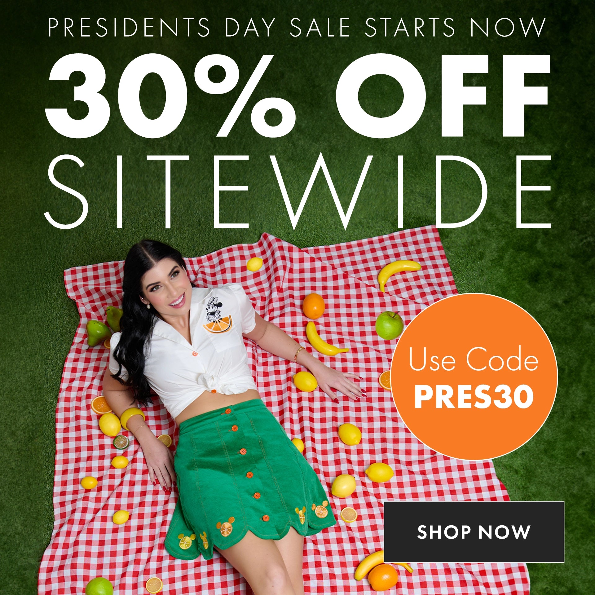 Promotional advertisement for a 30% off sitewide sale with a woman on a picnic blanket.