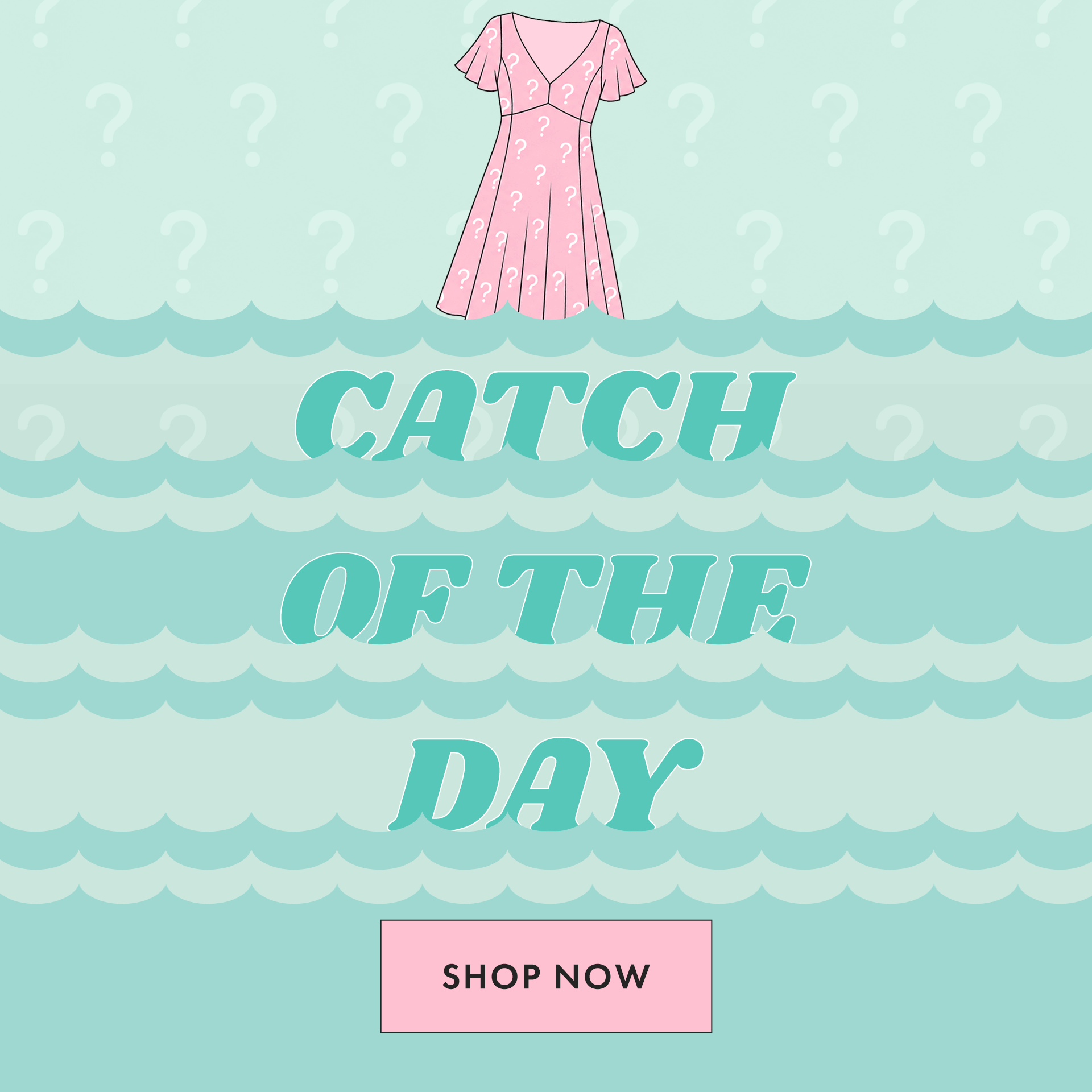 Catch of the Day- Shop Now