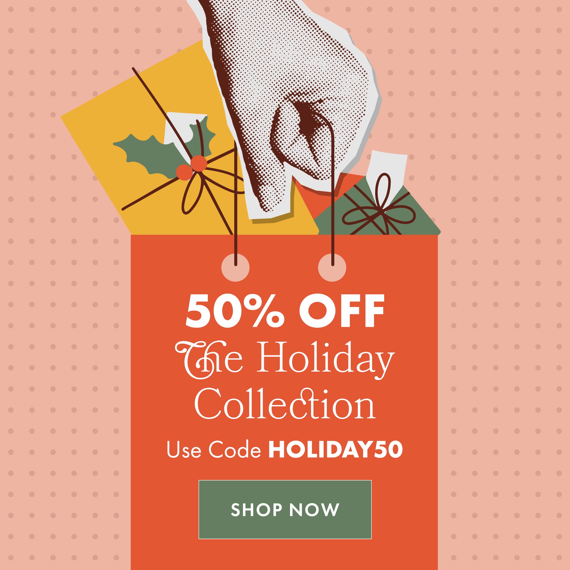 Promotional graphic for holiday collection with hand holding gift bag and text overlay on a patterned background. Use Code HOLIDAY50