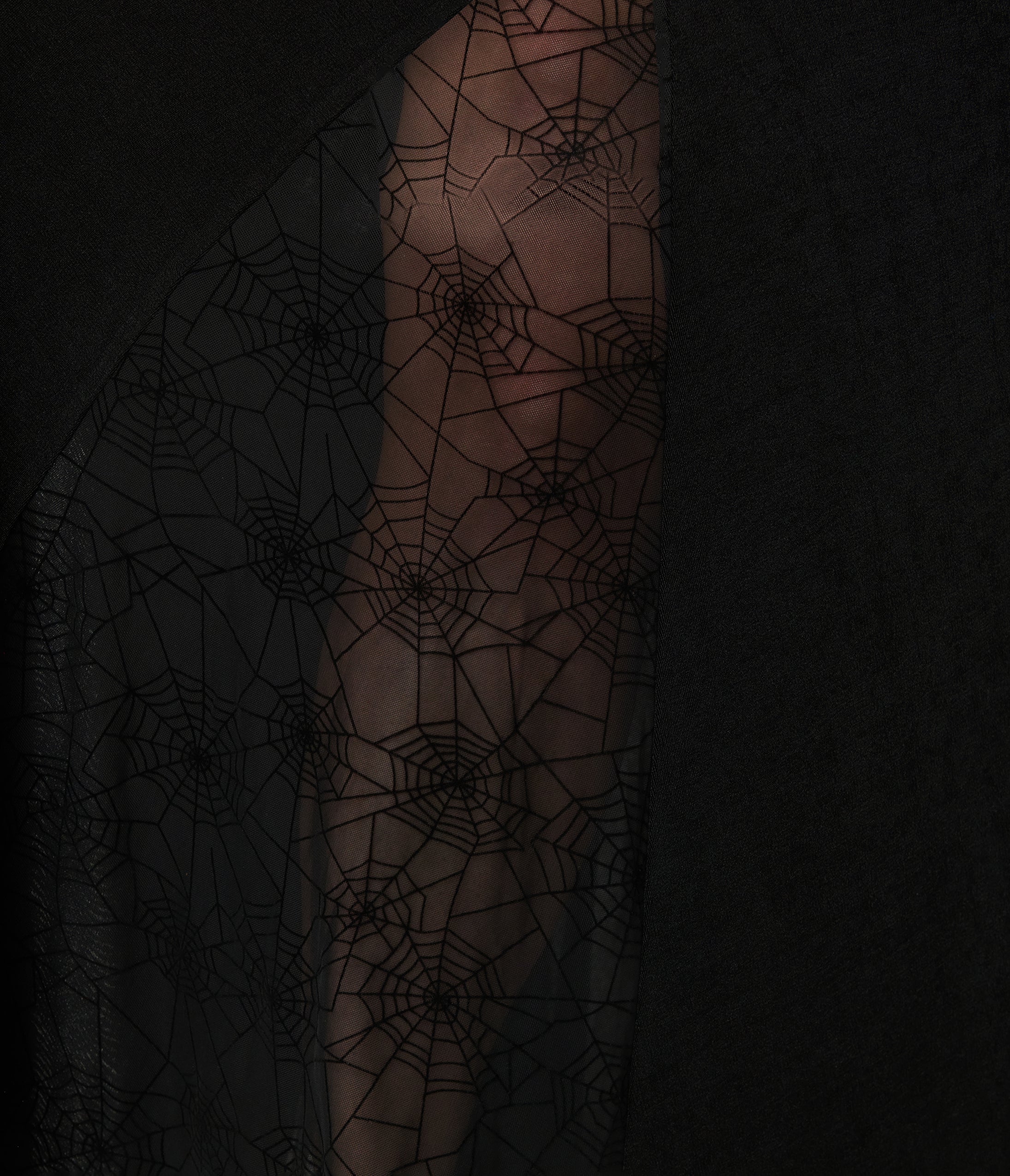 Unique Vintage Plus Size Black Sheer Spiderweb Godet Maxi Dress