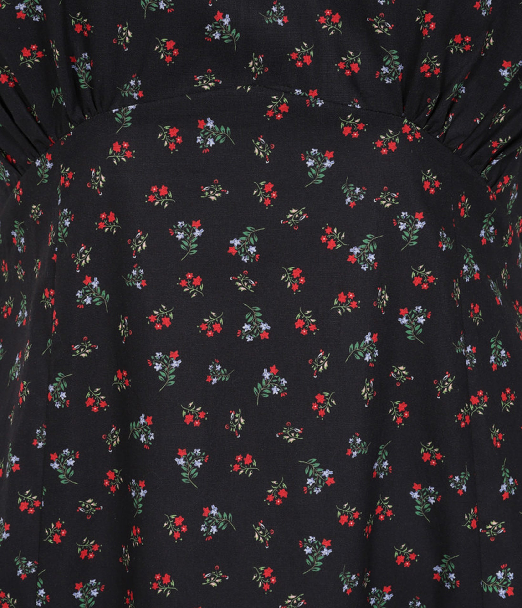 Banned Retro Black Floral June Swing Dress