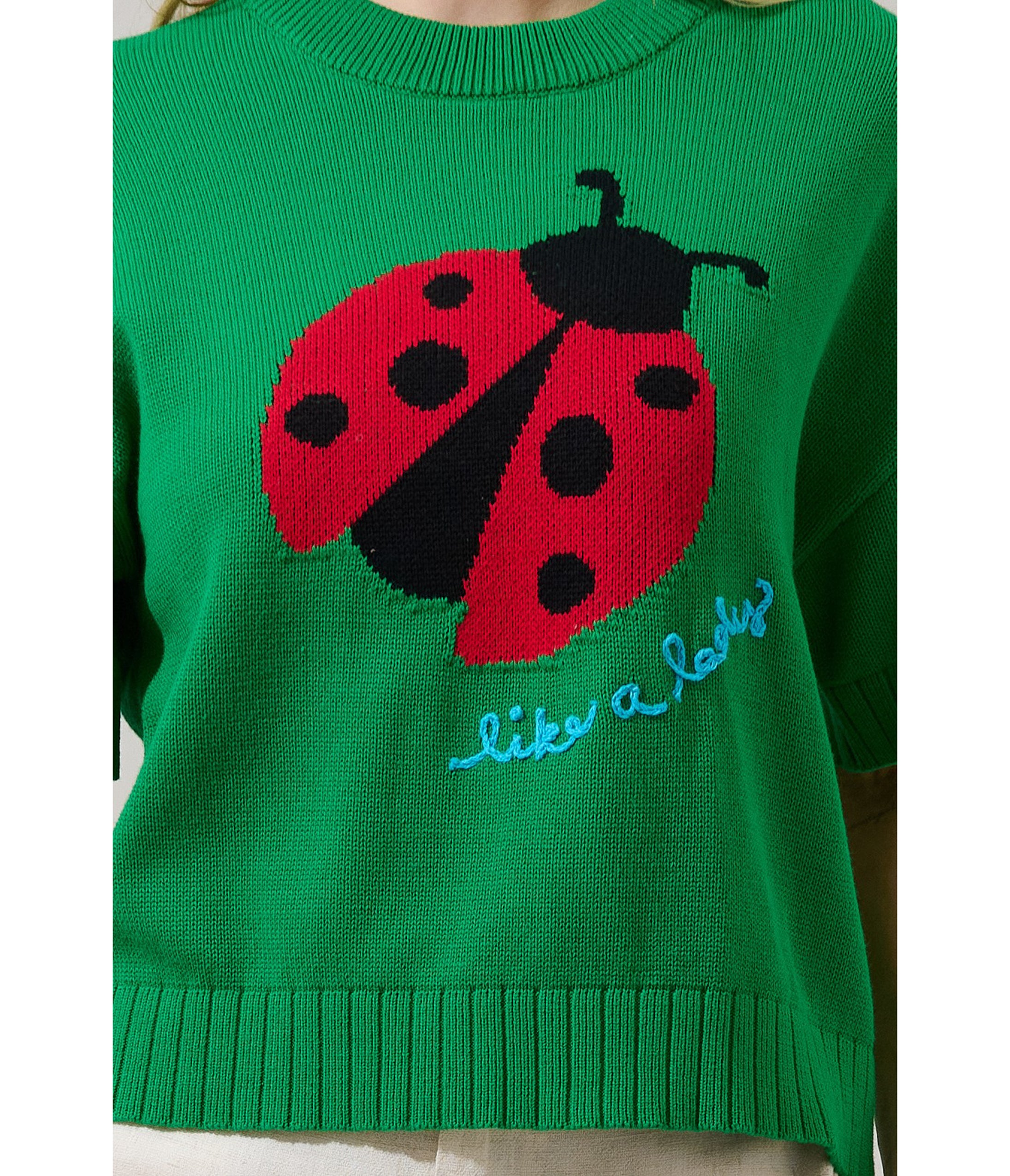 Green Ladybug Drop Shoulder Sweater