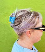 Trash Raccoon Hair Claw Clip