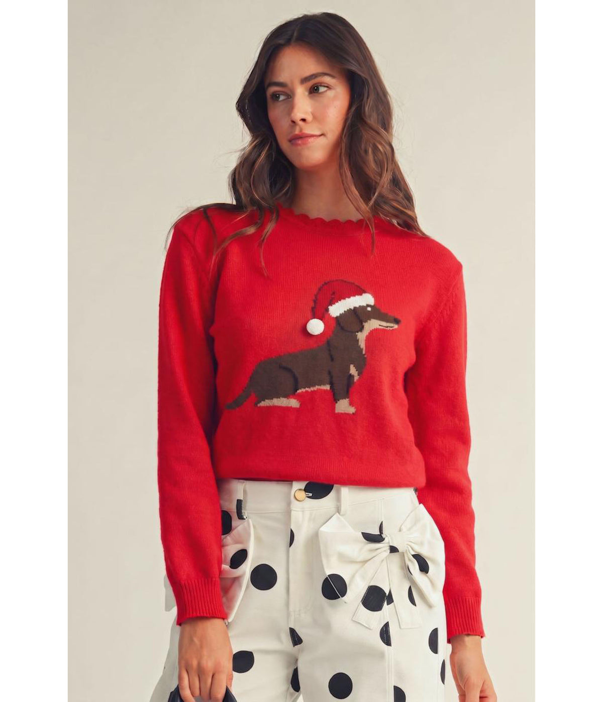 Red Santa Dachshund Sweater