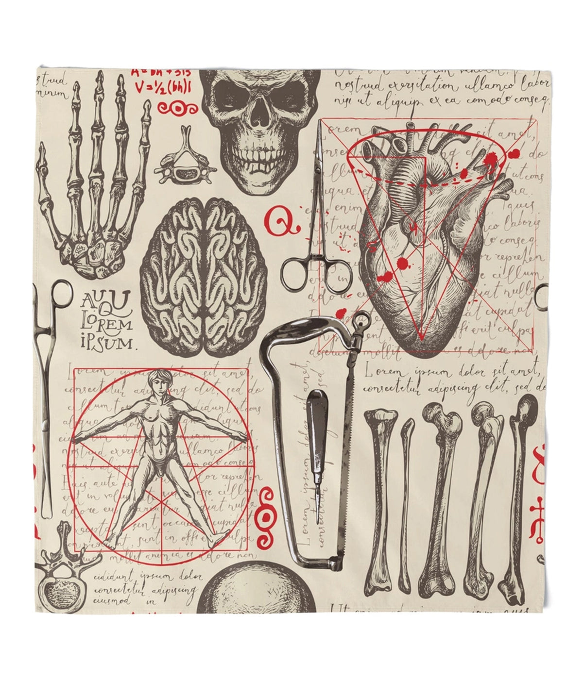 Vintage Medical Anatomy Print Hair Scarf