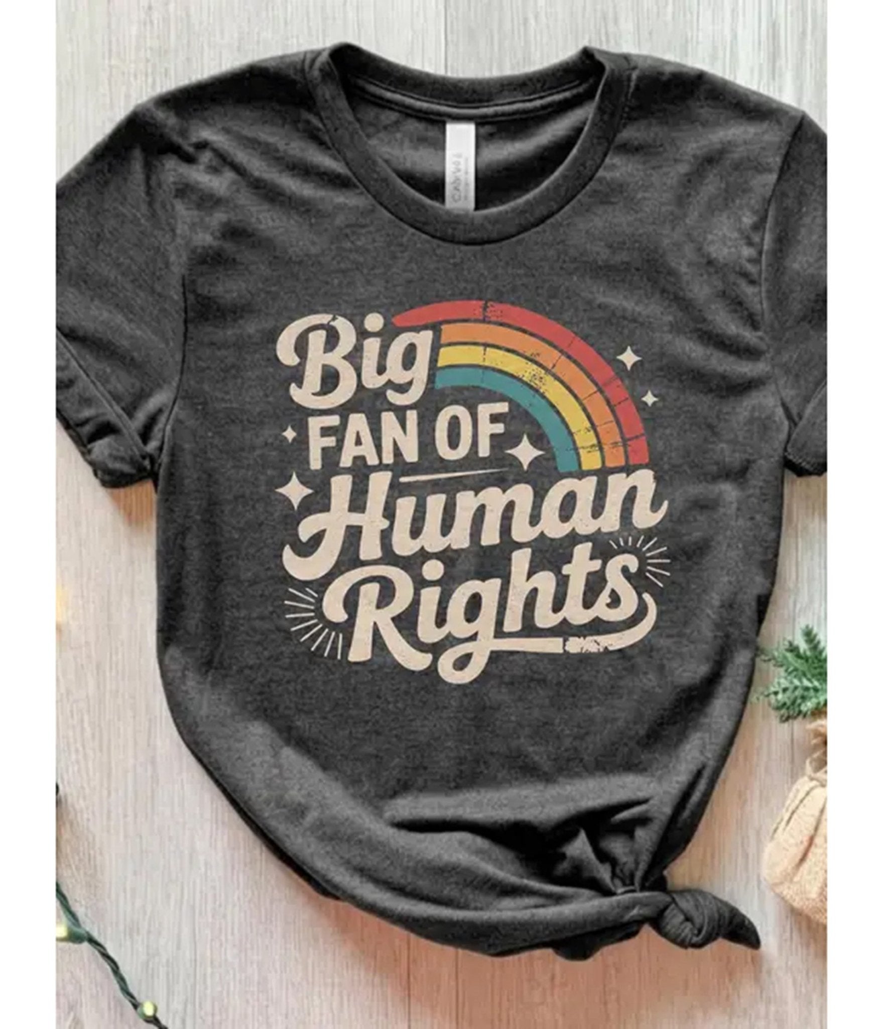 Big Fan of Human Rights Unisex Graphic Tee - Unique Vintage - Womens, GRAPHIC TEES, TEES