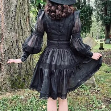 Black Sheer Long Sleeve Swing Dress - Unique Vintage - Womens, DRESSES, FIT AND FLARE