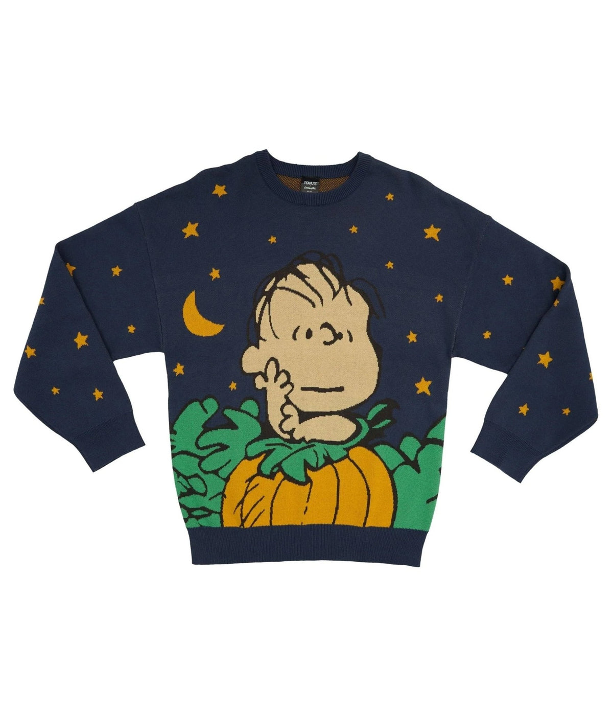 Cakeworthy Peanuts Great Pumpkin Charlie Brown Knit Sweater - Unique Vintage - Sweaters