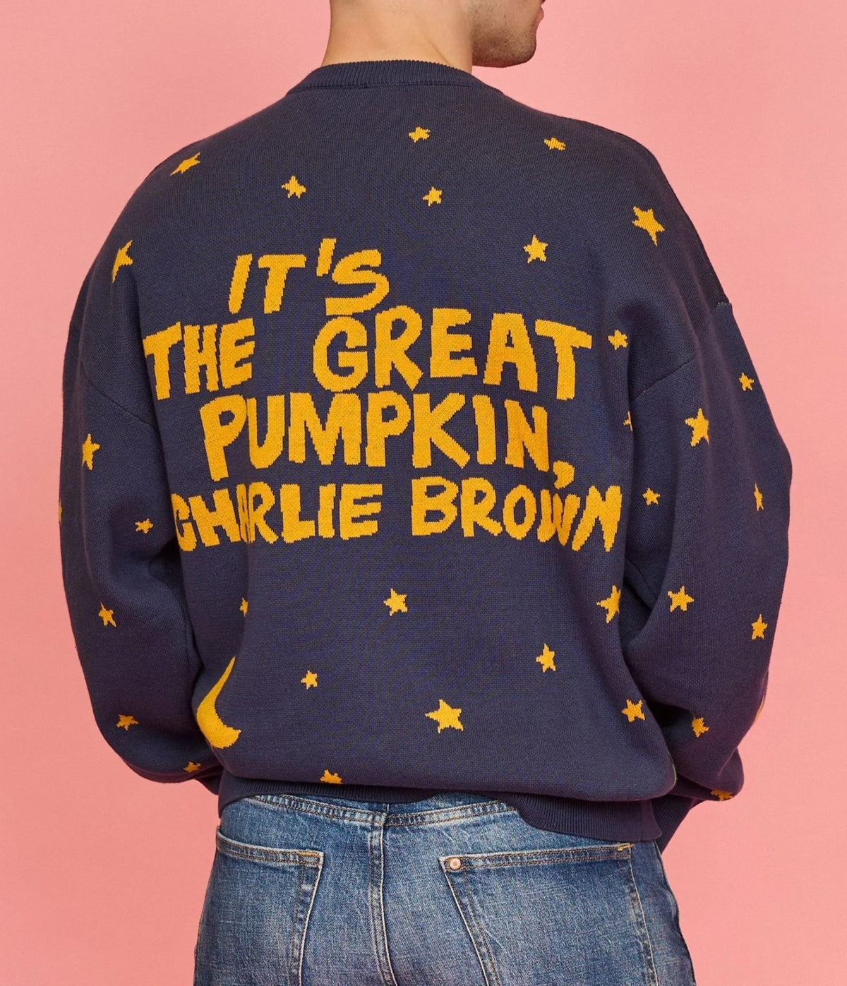 Cakeworthy Peanuts Great Pumpkin Charlie Brown Knit Sweater - Unique Vintage - Sweaters