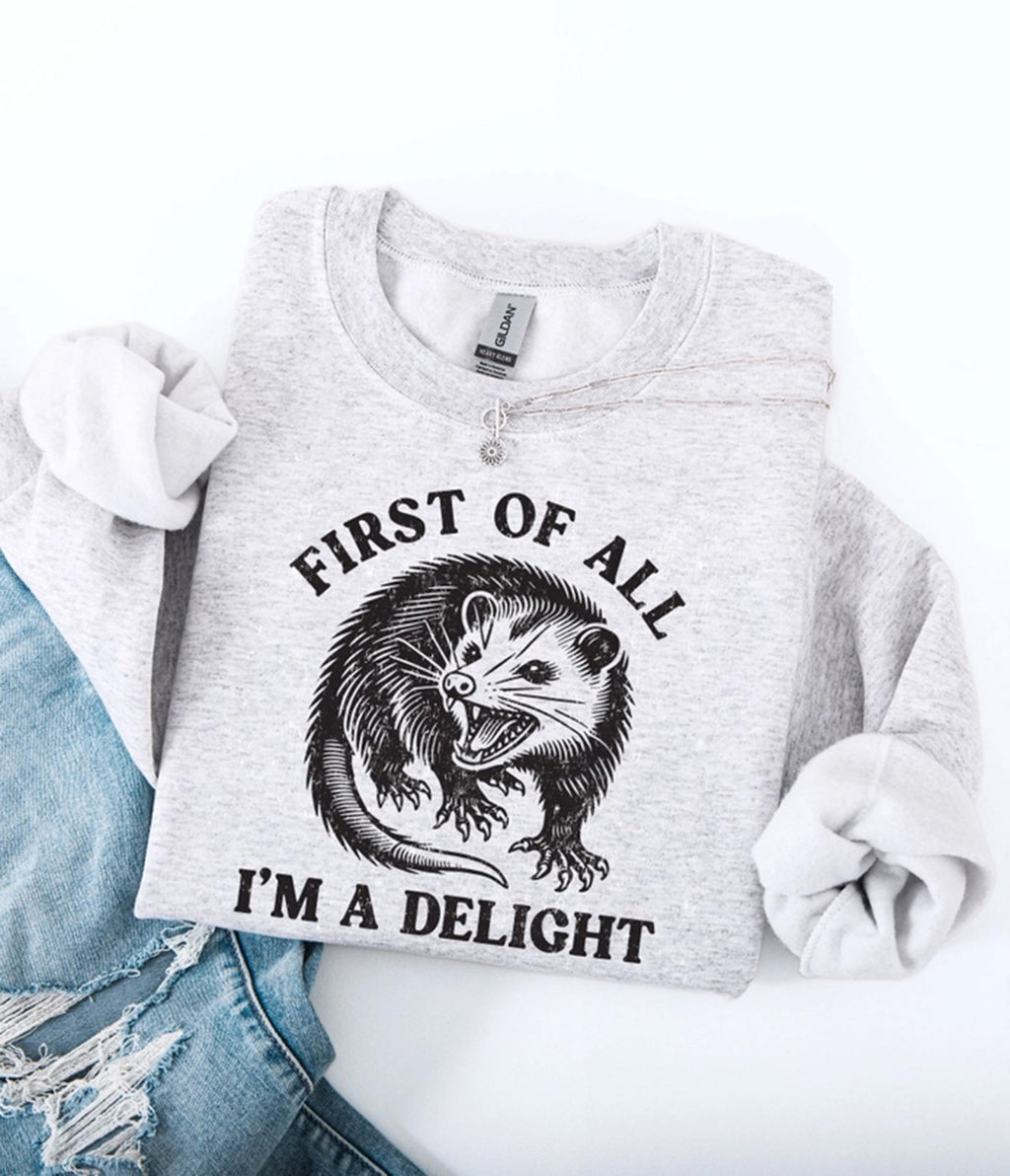 Grey I'm A Delight Possum Unisex Graphic Sweatshirt - Unique Vintage - Womens, TOPS, SWEATERS