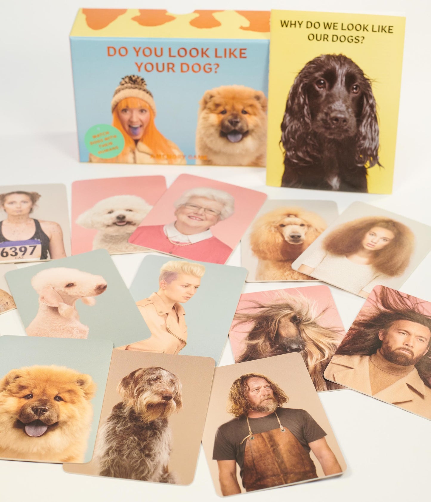 Do You Look Like Your Dog Card Game