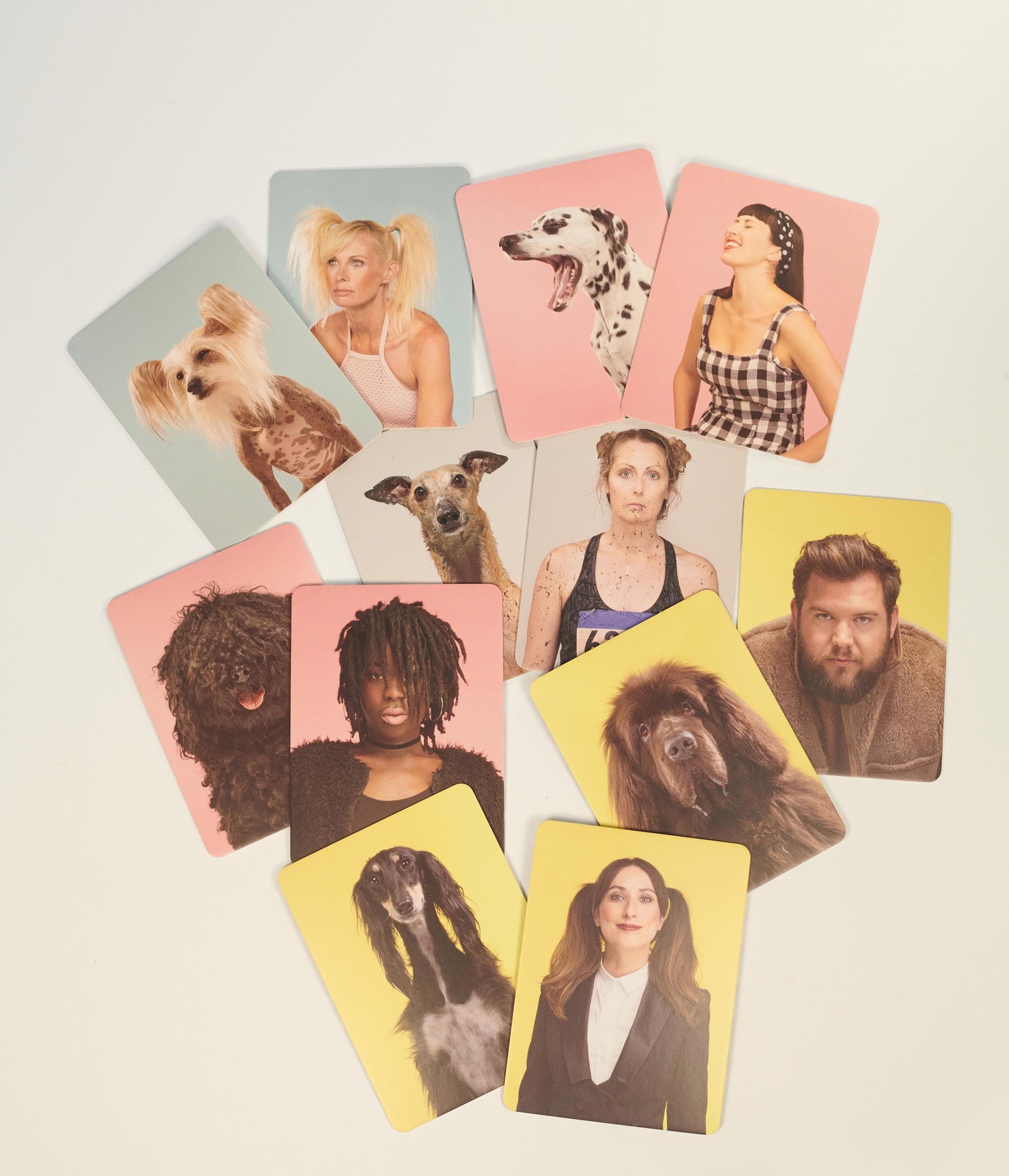 Do You Look Like Your Dog Card Game