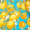 Blue Orange Bloom Swing Dress