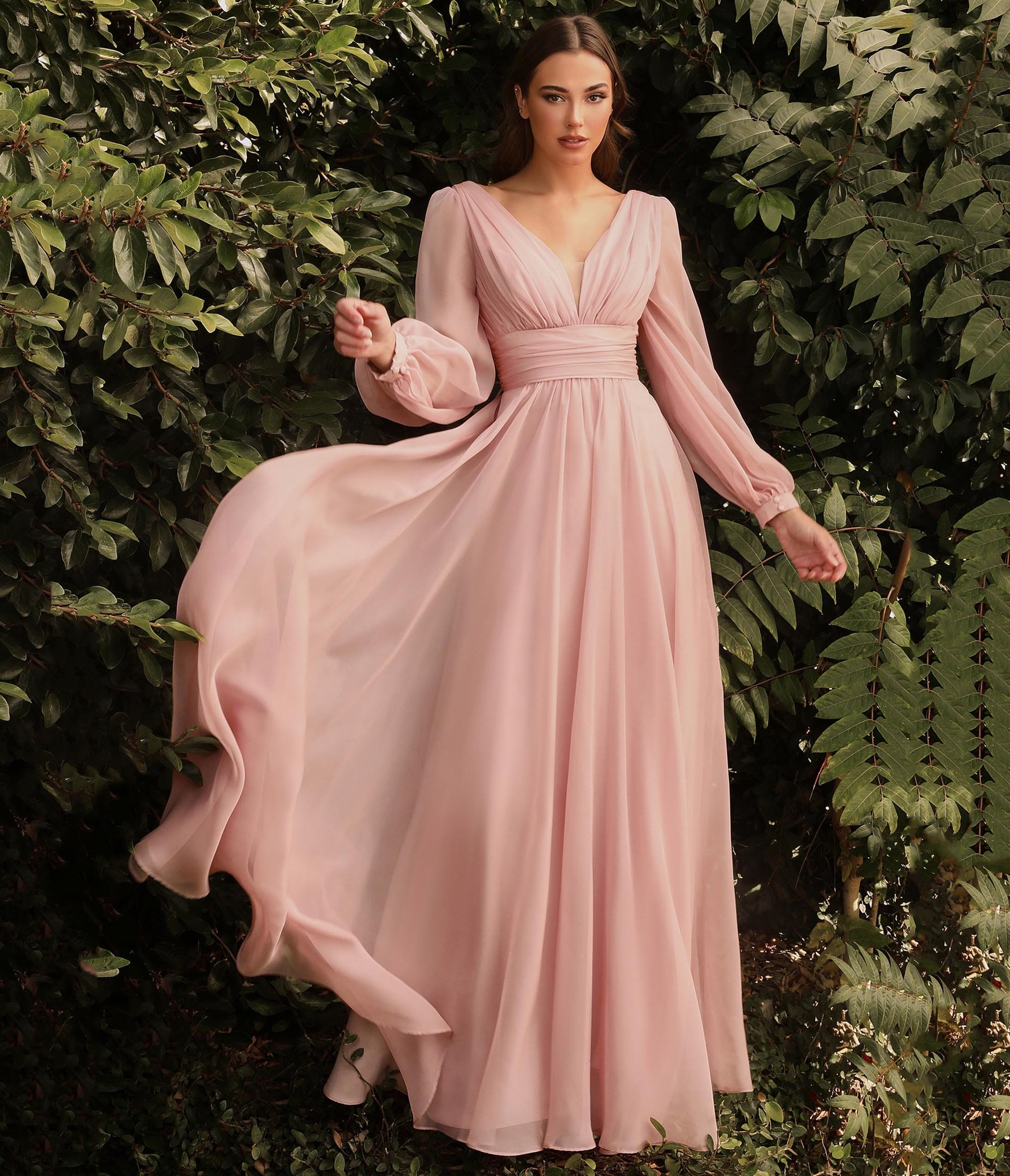Blush Pink Chiffon Sleeve Prom Goddess Gown