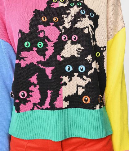 Pretty Snake Rainbow Colorblock Pretty Kitty Sweater