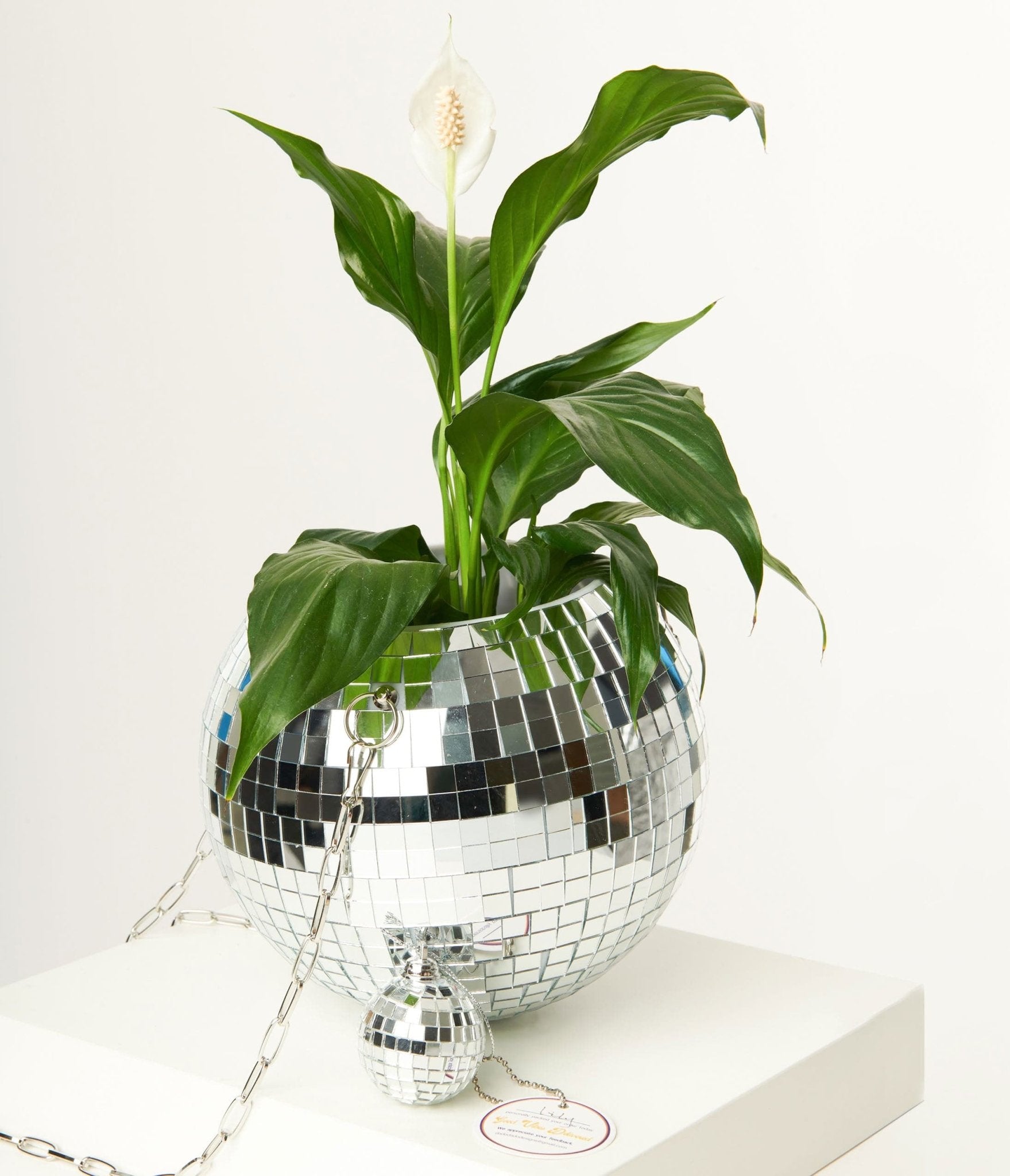 8 inch Disco Ball Hanging Planter - Unique Vintage - Womens, ACCESSORIES, GIFTS/HOME