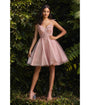 Cinderella Divine  Blush Tulle & Corset Applique Mini Prom Dress