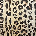 Kingdom & State Plus Size Leopard Print Swim Bottom - Unique Vintage - Womens, SWIM, BOTTOM