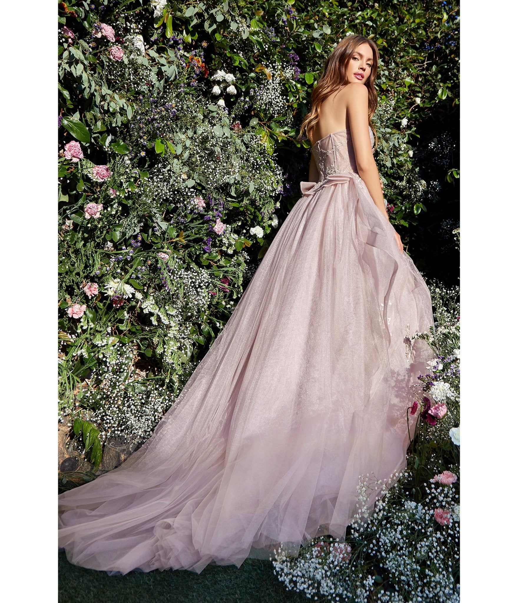 Beautiful tulle skirt dress with satin sheer bodice and butterfly
