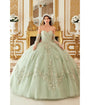 Cinderella Divine  Sage Floral Tulle Princess Ball Gown