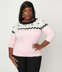 Unique Vintage Plus Size Pink & Black Cherry Sweater